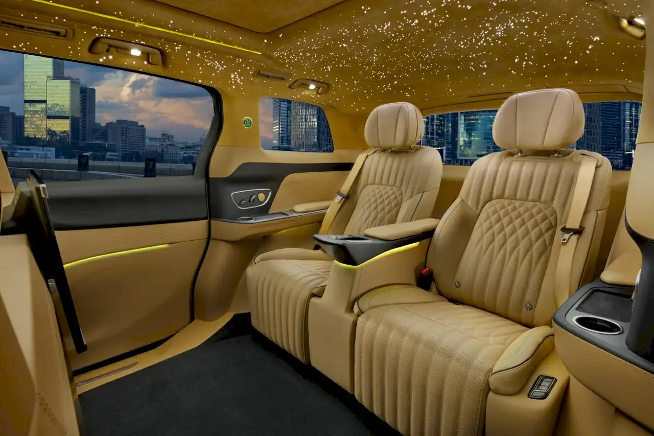 Voyah Dream BusinessJet звездное небо. Фото 1